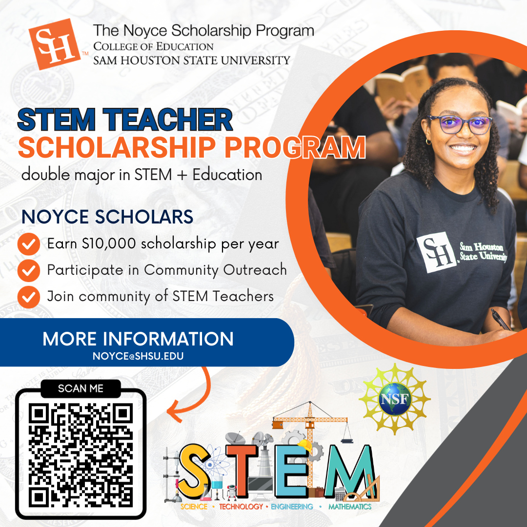 Noyce Scholarship flyer